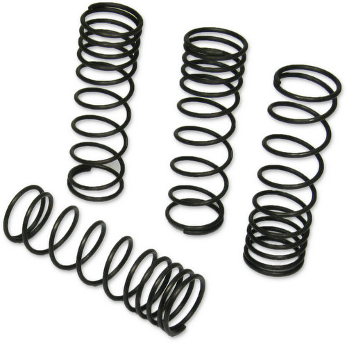 AYK Buggy Spring Set 