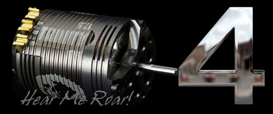 Trinity TEP1702XX - Hand-Built Certified D4 Motor 17.5T